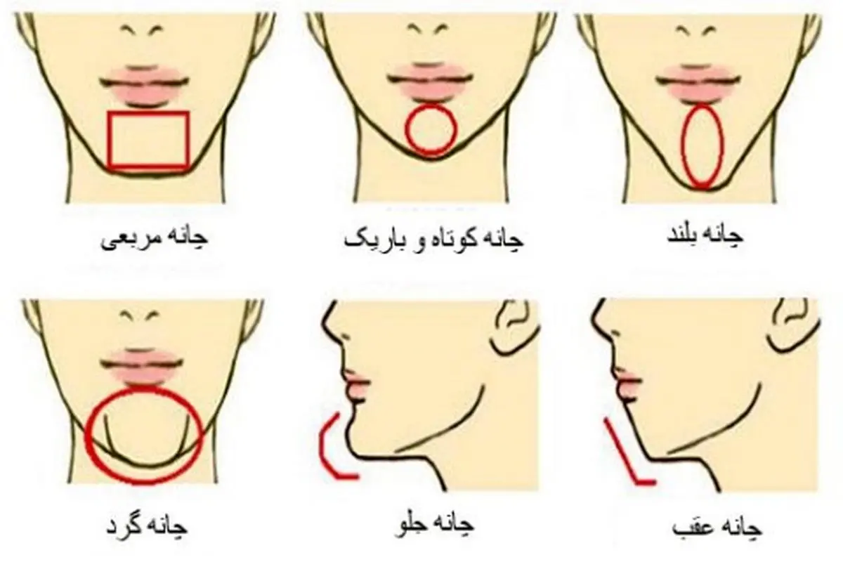 شخصیت شناسی | میخوای بدوی طرفت آدم خوبیه یا نه به فرم چونش دقت کن + تفسیر کامل