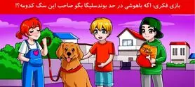 تست هوش | اگر میخوای بدونی فسفرای مغزت سالم موندن یا نه با دلیل بگو صاحب سگ کیه؟
