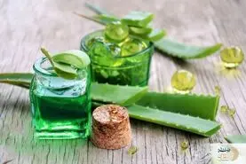 این گیاه قاتل دیابت است | بهترین گیاهان برای درمان دیابت را بشناسید