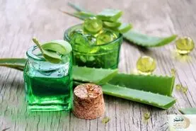 این گیاه قاتل دیابت است | بهترین گیاهان برای درمان دیابت را بشناسید
