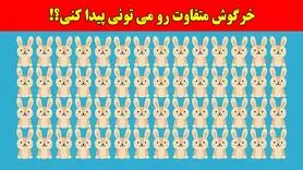 بازی فکری:همه مدعیان بینایی در پیدا کردن خرگوش متفاوت شکست خوردن، تو چطور؟!فقط 4 ثانیه وقت داری!