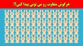 بازی فکری:همه مدعیان بینایی در پیدا کردن خرگوش متفاوت شکست خوردن، تو چطور؟!فقط 4 ثانیه وقت داری!