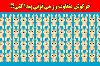 بازی فکری:همه مدعیان بینایی در پیدا کردن خرگوش متفاوت شکست خوردن، تو چطور؟!فقط 4 ثانیه وقت داری!