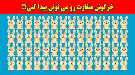 بازی فکری:همه مدعیان بینایی در پیدا کردن خرگوش متفاوت شکست خوردن، تو چطور؟!فقط 4 ثانیه وقت داری!