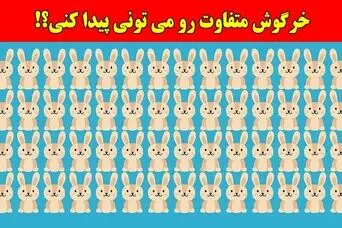 بازی فکری:همه مدعیان بینایی در پیدا کردن خرگوش متفاوت شکست خوردن، تو چطور؟!فقط 4 ثانیه وقت داری!