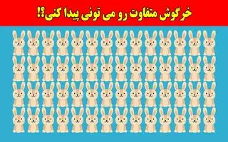بازی فکری:همه مدعیان بینایی در پیدا کردن خرگوش متفاوت شکست خوردن، تو چطور؟!فقط 4 ثانیه وقت داری!