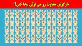 بازی فکری:همه مدعیان بینایی در پیدا کردن خرگوش متفاوت شکست خوردن، تو چطور؟!فقط 4 ثانیه وقت داری!