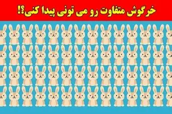 بازی فکری:همه مدعیان بینایی در پیدا کردن خرگوش متفاوت شکست خوردن، تو چطور؟!فقط 4 ثانیه وقت داری!