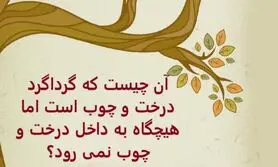 چیستان روز | آن چیست که گرداگرد درخت و چوب است اما هیچگاه به داخل درخت و چوب نمی رود؟

