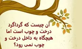 چیستان روز | آن چیست که گرداگرد درخت و چوب است اما هیچگاه به داخل درخت و چوب نمی رود؟

