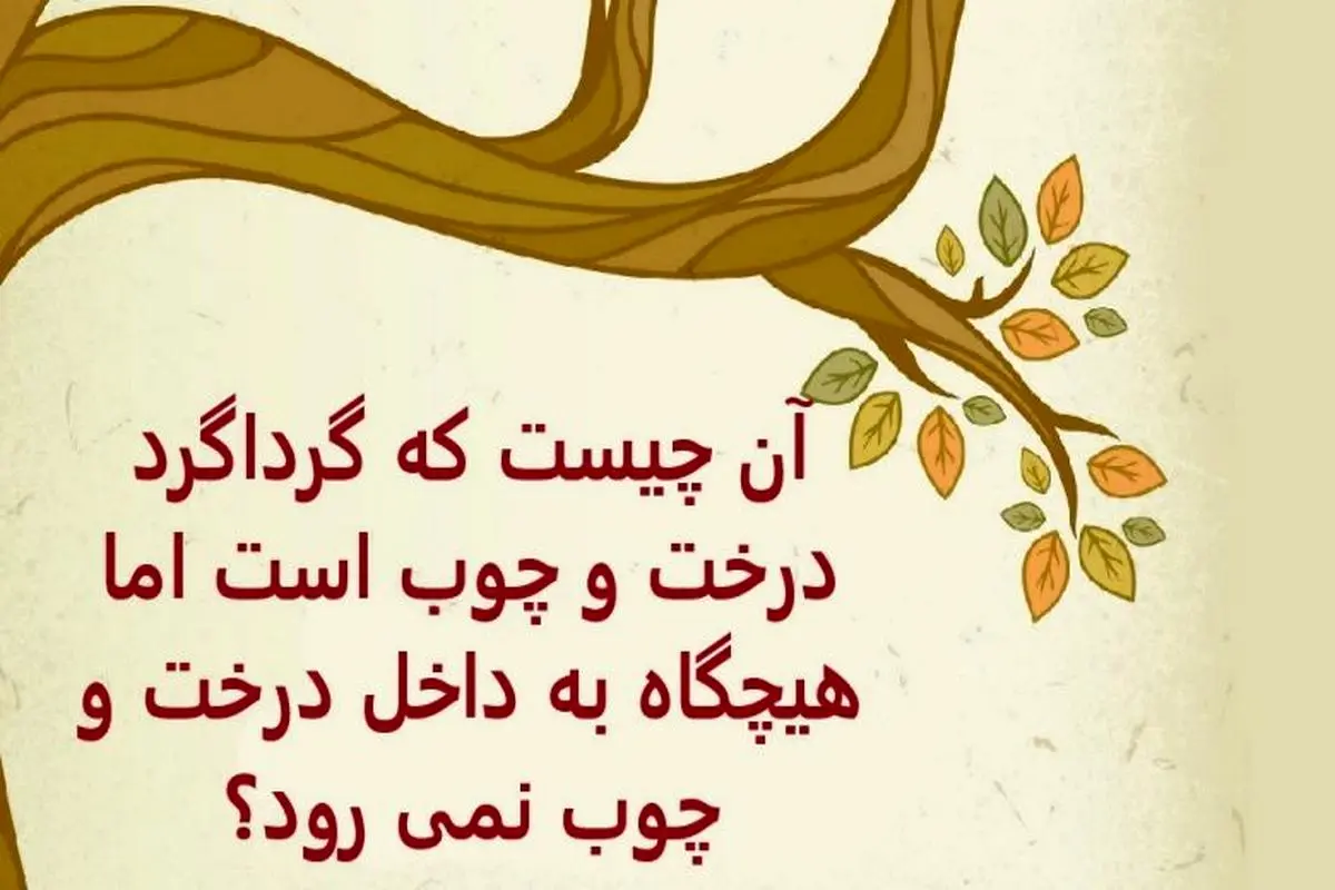 چیستان روز | آن چیست که گرداگرد درخت و چوب است اما هیچگاه به داخل درخت و چوب نمی رود؟

