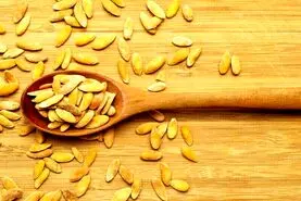دیگه تخمه های خربزه هارو دور نریز | این تخمه ها منبع بزرگ پروتئین و خواص گوناگون هستند