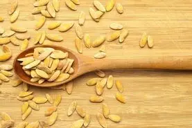 دیگه تخمه های خربزه هارو دور نریز | این تخمه ها منبع بزرگ پروتئین و خواص گوناگون هستند