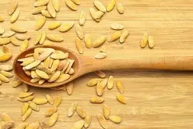 دیگه تخمه های خربزه هارو دور نریز | این تخمه ها منبع بزرگ پروتئین و خواص گوناگون هستند