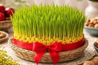 آموزش کاشت سبزه ذرت برای عید نوروز