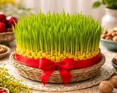 آموزش کاشت سبزه ذرت برای عید نوروز