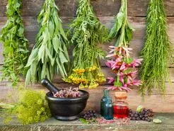 ۷ گیاه اورژانسی که حکم داروخانه طبیعی منزل شما را دارند!