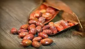 میوه ای ارزان با خواصی گران بها | خواص این میوه شما را برای همیشه از مراجعه به پزشک راحت میکند