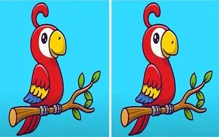 بازی فکری : اگه چشمای تیزبینی داری 3 تا تفاوت توی تصویر طوطی پیدا کن!