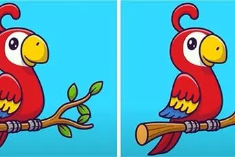 بازی فکری : اگه چشمای تیزبینی داری 3 تا تفاوت توی تصویر طوطی پیدا کن!