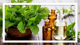 این روغن متخصص تقویت حافظه است | میخوای مغزت مثل ساعت کار کنه این روغن رو از دست نده