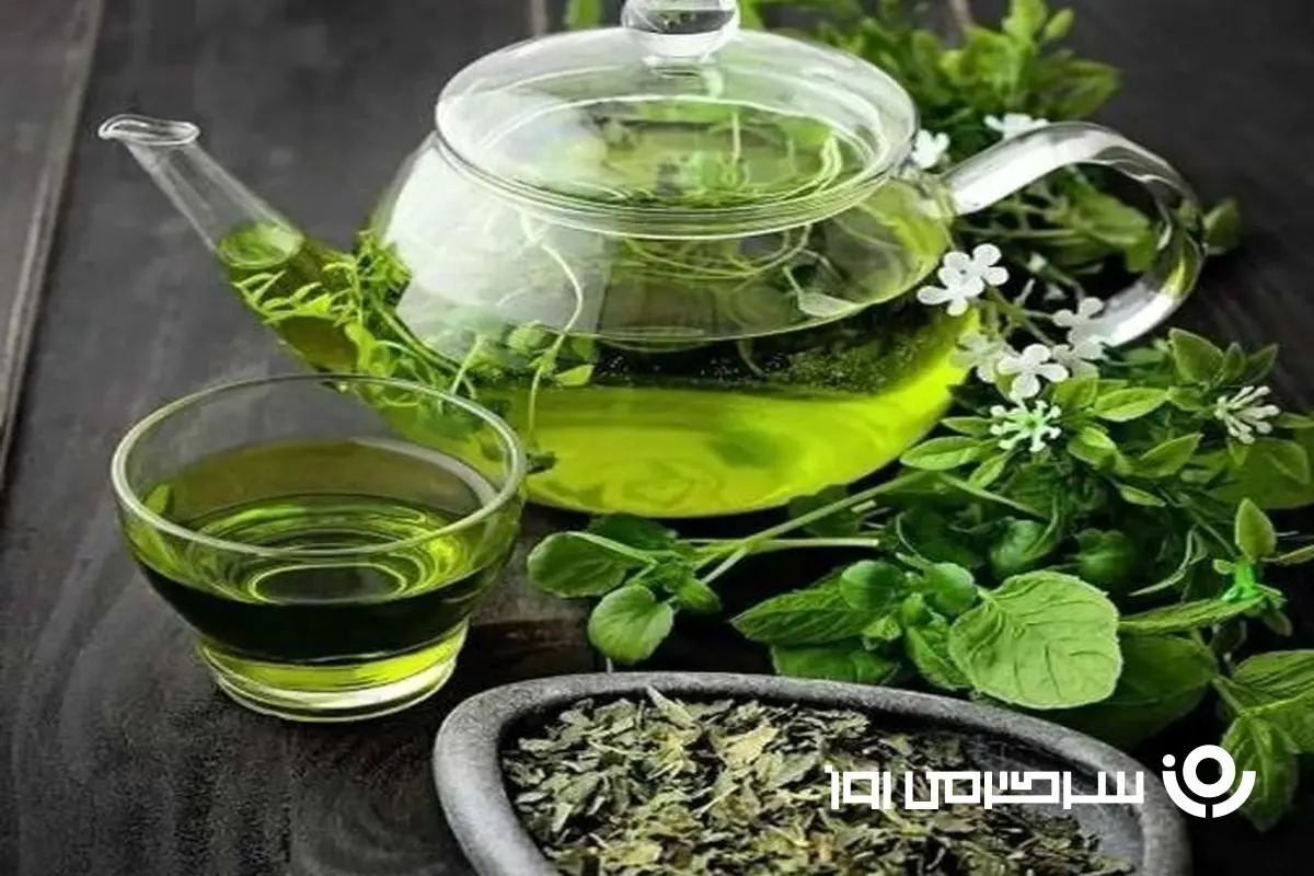 اگر چای سبز دوست دارید، بخوانید!