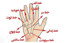 پیشگویی زندگی مشترک با خط ازدواج در کف دست | طالع بینی ماه تولد