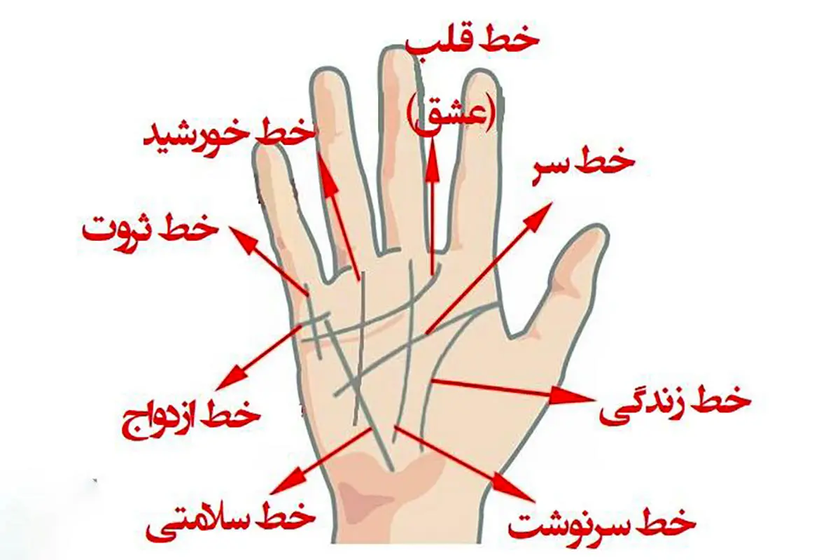 پیشگویی زندگی مشترک با خط ازدواج در کف دست | طالع بینی ماه تولد