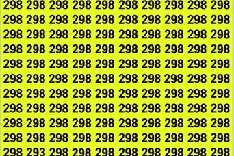 بازی فکری : فقط تیز بین ها تو 7 ثانیه عدد 293 رو پیدا می کنن!