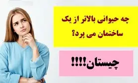 چیستان روز | چه حیوانی بالاتر از یک ساختمان می پرد؟