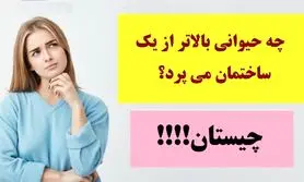 چیستان روز | چه حیوانی بالاتر از یک ساختمان می پرد؟