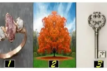 روانشناسی شخصیت : یک تصویر انتخاب کنید و بفهمید روحتان برای شادی به چه چیزی نیاز دارد