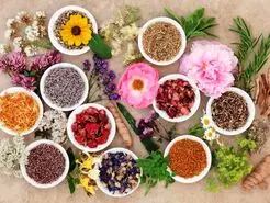 بهترین دانستنی های  طب سنتی | چی و کی بخوریم تا سالم بمونیم