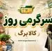 واریز اعتبار جدید دولت پزشکیان برای سرپرستان | شارژ کالابرگ برای کدهای ملی جدید از فردا ۲۵ اردیبهشت