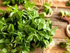  این گیاه یک انسولین طبیعی و قدیمی برای دیابتی هاست 