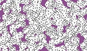 بازی فکری :فقط اونایی که دید فول اچ دی دارن تاس 7 خال و میتونن پیدا کنن!