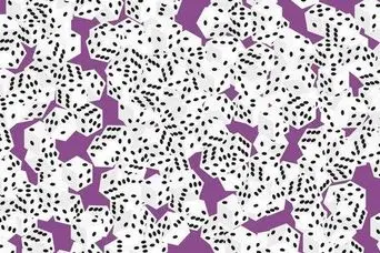 بازی فکری :فقط اونایی که دید فول اچ دی دارن تاس 7 خال و میتونن پیدا کنن!