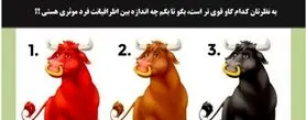 تست شخصیت گاوری | یک گاو انتخاب کن تا بگم اطرافیانت چی راجبت فکر میکنن