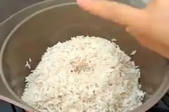 تمام عمر اشتباهی برنج میپختیم؛ ترفند پخت و پز درست برنج