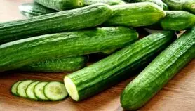 ته تلخ این میوه سرشار از فایده بوده است و ما نمی دانستیم

