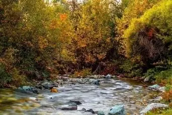 سفری لذت بخش به زیباترین روستای نزدیک تهران در پاییز؛ روستای ارنگه در یک ساعتی تهران