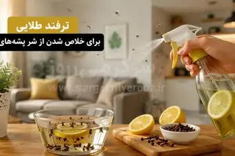 این محلول خانگی پشه‌های ریز را قتل‌عام می‌کند | راز خلاص شدن فوری از پشه‌های ریز که کمتر کسی می‌داند