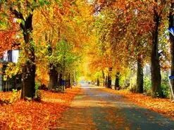 سفری لذت بخش به زیباترین روستای نزدیک تهران در پاییز؛ روستای سنقرآباد در یک ساعتی تهران