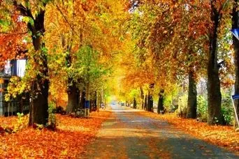 سفری لذت بخش به زیباترین روستای نزدیک تهران در پاییز؛ روستای سنقرآباد در یک ساعتی تهران