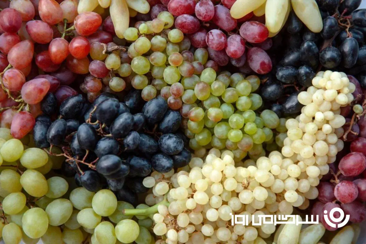 می‌خوای سلامتی قلبت رو تضمین کنی؟ | خواص باورنکردنی این میوه برای سلامت بدن و قلب