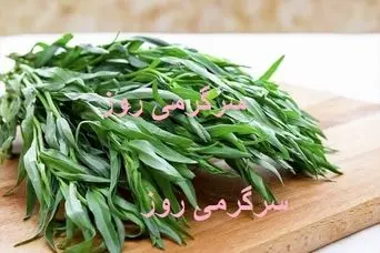  این سبزی را خشک کنید و به جای نمک در غذا ها و سر سفره استفاده کنید 