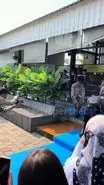 فیلمی از محافظ شخصی گربه رئیس جمهور