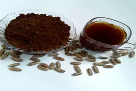 عمرا اگه میدونستی با هسته خرما بهترین و خوشمزه ترین دمنوش دنیارو درست میکنند+طرز تهیه