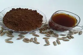 عمرا اگه میدونستی با هسته خرما بهترین و خوشمزه ترین دمنوش دنیارو درست میکنند+طرز تهیه