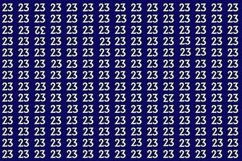 بازی فکری : در 6 ثانیه عددهای وارونه 23 و 32 را میان 23 ها پیدا کنید!